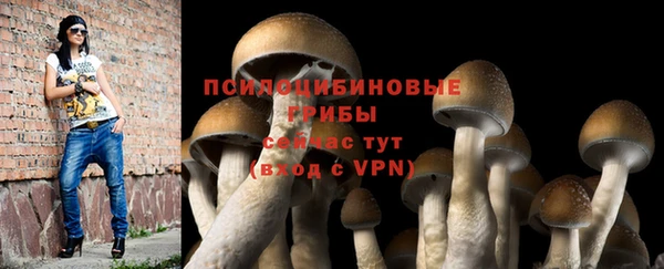 соль курить ск Михайлов