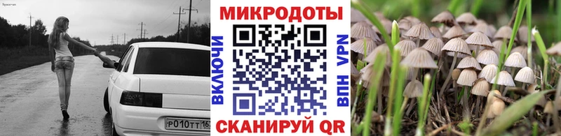Купить Плавск Галлюциногенные грибы Psilocybine cubensis