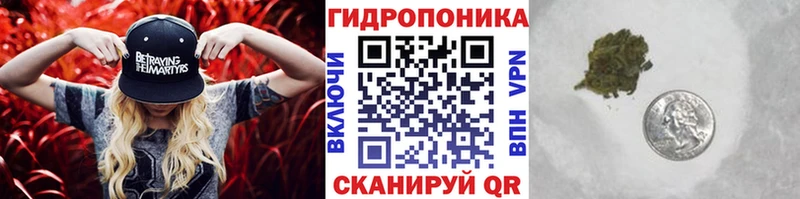 Купить закладки  Плавск  Бошки Шишки конопля 